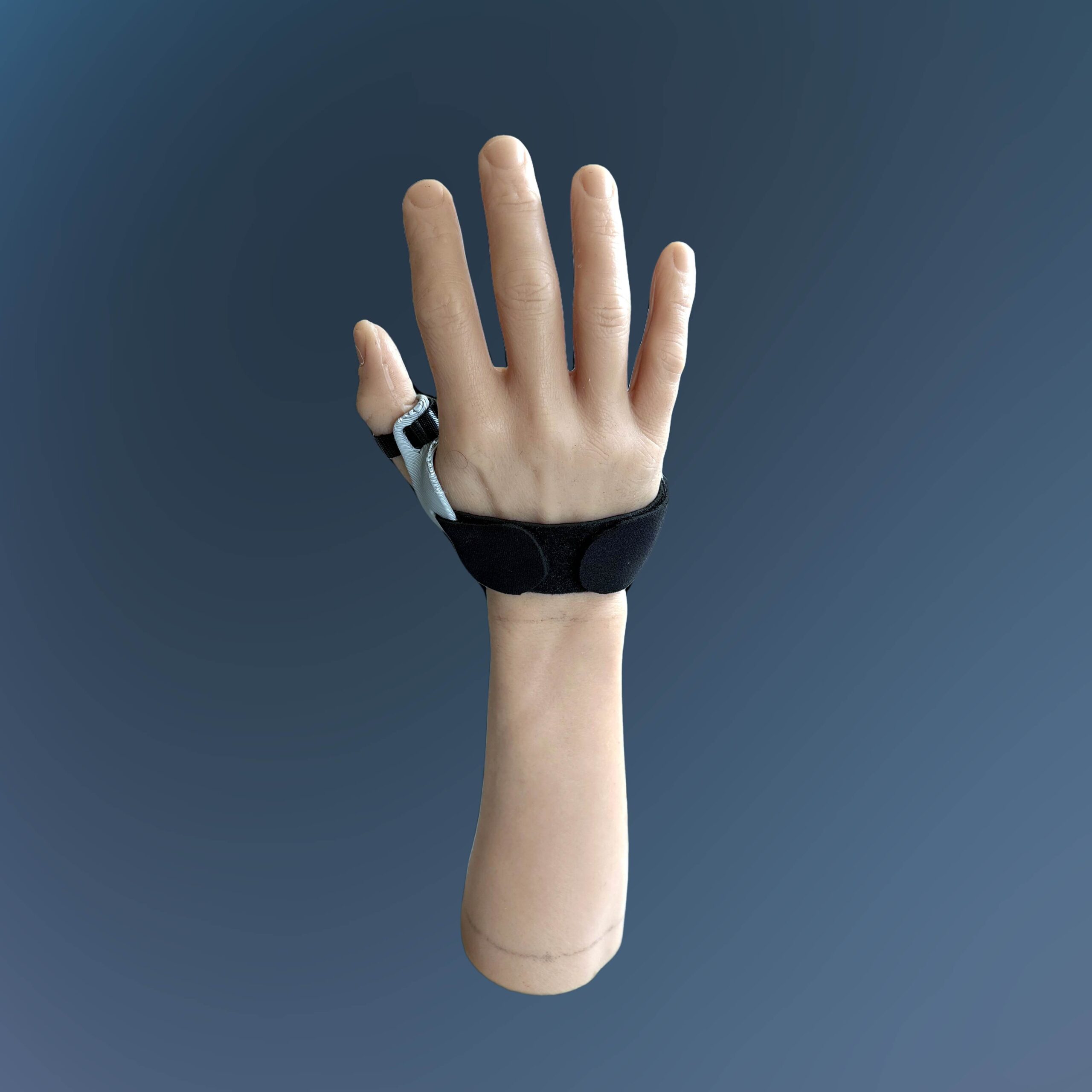 Model Hand Thumb Spica Hand 3